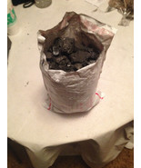 Coal (5lbs) - £7.56 GBP