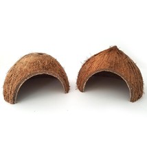 Reptile Retreat: Handmade Coconut Shell Hideout for Turtles, Scorpions, and Liza - £11.15 GBP