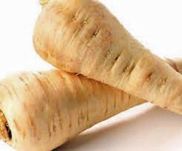 Grow In US Parsnip All American Heirloom Non Gmo 50 Seeds Parsnip Seeds - £7.23 GBP