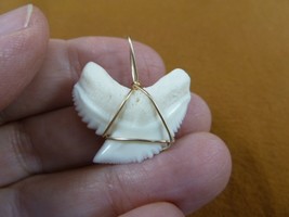 (S4-2) 1-1/8&quot; White TIGER SHARK Tooth gold wired pendant sharks necklace - $43.00