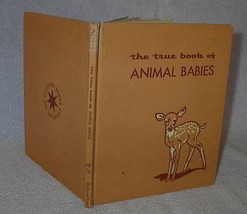 The True Book of Animal Babies 1960 Illustrated Children&#39;s Book - £4.62 GBP