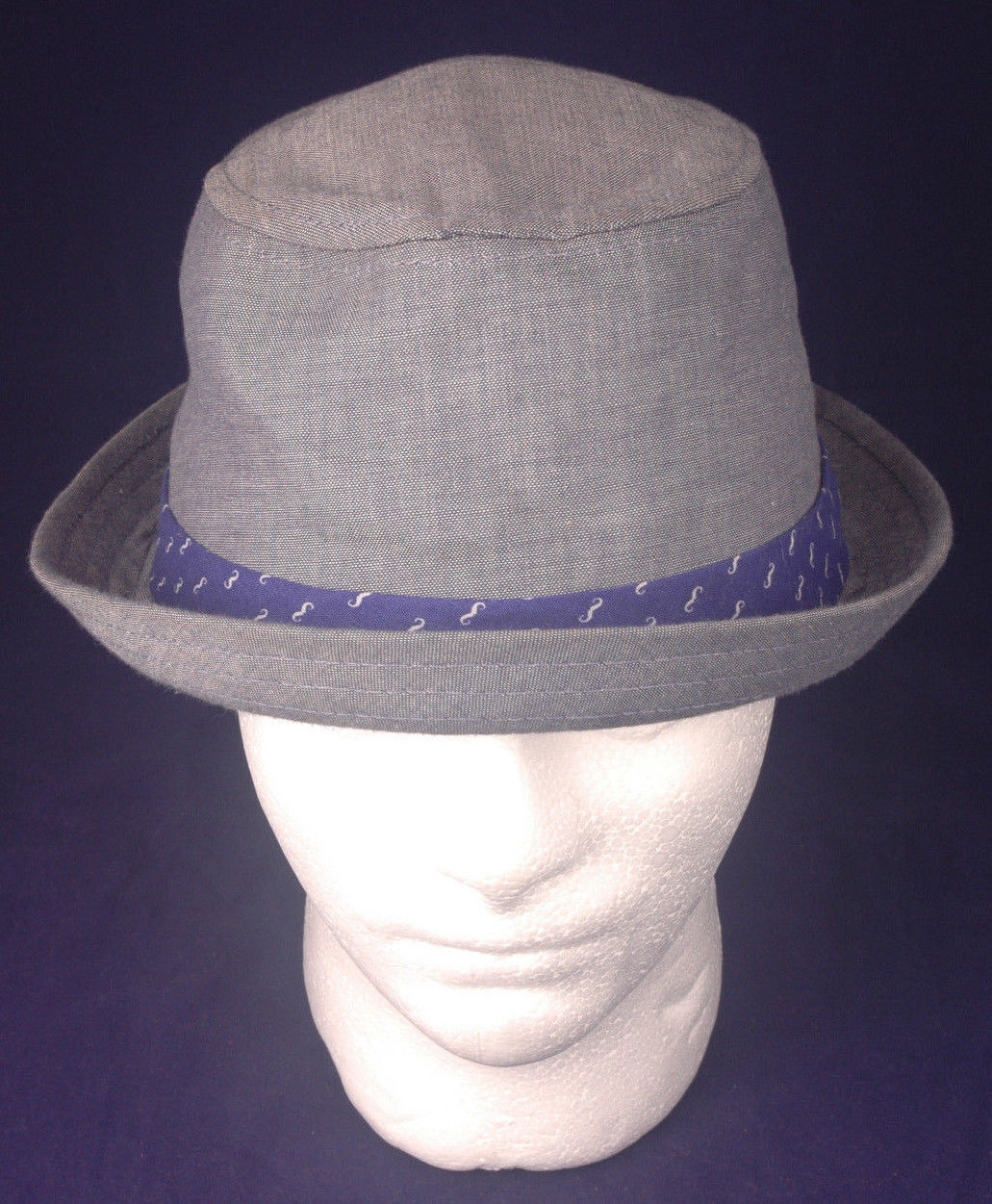 Fedora, Blue Cotton-Fitted 12-14 Y-Blue-H&M-Cool Blue Band-Great Shape - $12.73