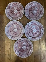 Spode Dinner Plate Archive Collection Cranberry Botanical Georgian Series Lot - £44.35 GBP