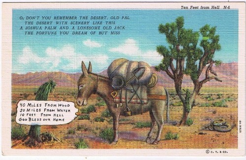 Comic Postcard 10 Feet From Hell Donkey Joshua Palm - £1.60 GBP