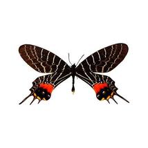 Black and Red Butterfly Decal - 3&quot; wingspan - £1.99 GBP