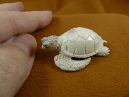 (TURT-SEA-W32) Sea Turtle turtles shed ANTLER figurine Bali detailed carving - £27.71 GBP