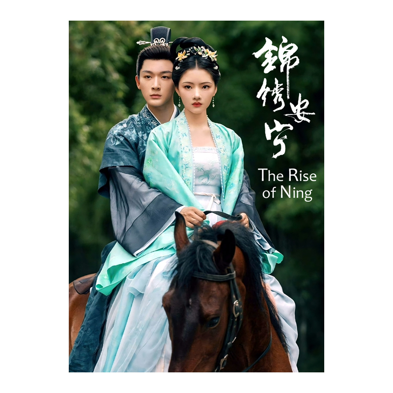 The Rise of Ning (2024) Chinese Drama - $79.00