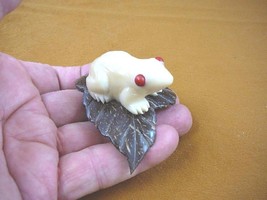 tn-frog-601) Red eyed Tree FROG frogs TAGUA NUT Figurine Carving Vegetab... - $24.84
