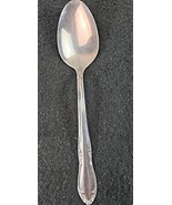 Oneida Plantation Stainless Custom Glossy Oval Soup Spoon Flatware - $127.15 MXN