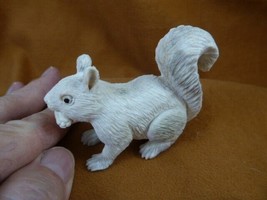 squir-w9 little white Squirrel + nut of shed ANTLER figurine Bali detailed - £124.74 GBP