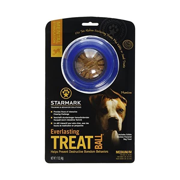 Starmark Everlasting Dog Treat Ball, Medium  - $34.00