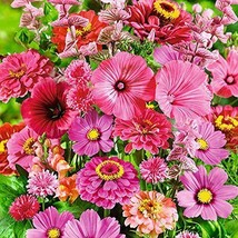 THJAR Pink Passion Wildflower Mix 200+ Seeds Stunning All Pink Blend - £16.17 GBP