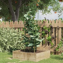  Garden Plant Support Set of 5 Green - €84,94 EUR