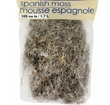 Cemetery Props-Natural SPANISH MOSS-Halloween Party Tombstone Zombie Decorations - £3.95 GBP