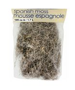 Cemetery Props-Natural SPANISH MOSS-Halloween Party Tombstone Zombie Dec... - £3.92 GBP