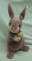 Ty 2000 Beanie Baby Springy The Bunny Rabbit 7&quot; Bean Bag Stuffed Animal Toy - £11.84 GBP