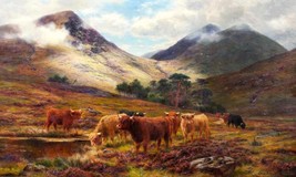 Art Giclee Printed Oil Painting Print Highland Cattle Canvas - £9.61 GBP+