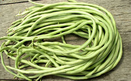 15 Seeds Yard Long Bean Asian Chinese Long Bean String beans Productive USA - £7.56 GBP