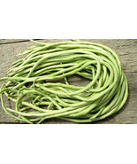 15 Seeds Yard Long Bean Asian Chinese Long Bean String beans Productive USA - $9.50