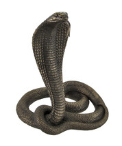 Us144 king cobra snake bronze statue 1i thumb200