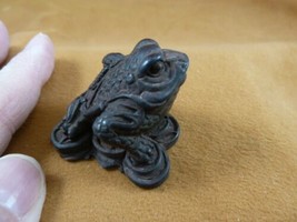 TNE-FRO-1) brown FROG toad amphibian TAGUA NUT Netsuke Figurine carving ... - £22.22 GBP