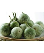 VCS 100 Seeds Eggplant Thai Petch Siam Matti Gulla Cà Pháo Seeds Organic... - $20.30 CAD