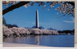 Washington Monument Picturesque with The Beautiful Cherry Blossoms Postc... - £3.15 GBP