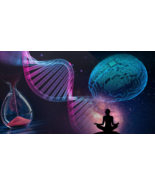 Immortal Life Spell Casting Elite Advanced Alchemy Immortality Live Forever - $411.26 CAD