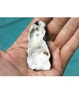 Large Agatized Tampa Bay Fossil Coral Fossilized Coral Agate Botryoidal ... - £43.00 GBP