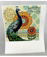 Jennifer Brinley  Peacock I  Wall Art Print 12" X 12" Square 16" X1 4" MATTE VTG - $34.14