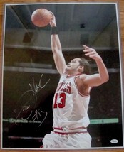 Joakim Noah Chicago Bulls Autographed Signed 16 X 20 Photo Picture JSA F... - $84.14