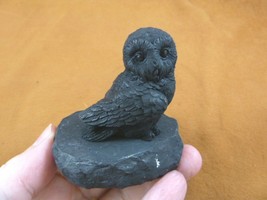 SH-OWL-3) black night sky Owl figurine Shungite stone hand carving owls ... - $25.23