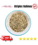 Premium Organic Atriplex Halimus Herb Dried Fresh Organic Natural عشبة القطف رغل - $18.60 - $55.82