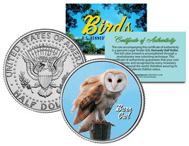 BARN OWL * Collectible Birds * JFK Kennedy Half Dollar Colorized U.S. Coin - $8.56