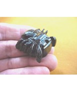 (Y-SPI-209) Black Widow baby spider Onyx stone carving I love little spi... - €10,50 EUR