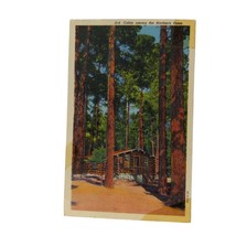 Postcard Cabin Among The Northern Pines Blackduck MN Linen Vintage Unposted - £5.59 GBP