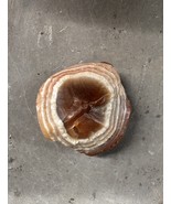 Lake Superior Agate 1oz Basin Banded Peeled Layered Minnesota Wisconsin ... - $487.09 MXN