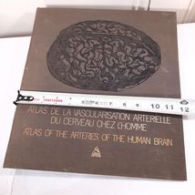 Item image 12