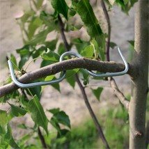 Fruit Tree Branch Spreader,Tree Branch Limb Spreader Bonsai Branch, M7.1In - £24.65 GBP