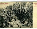 Castleton Gardens Postcard Greetings from Jamaica  BWI - £9.33 GBP