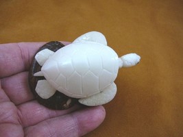 (TNE-T-SEA-406-A) white Sea Turtle TAGUA NUT Figurine carving Vegetable turtles - £23.66 GBP