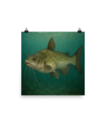 Catfish Poster Wall Art – Freshwater Fishing Decor, Nature Lake 18&quot; X 18&quot; - $19.50