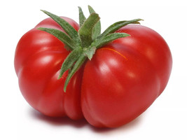 Fast Shipping 120 Beefsteak Tomato Seeds Large Organic Fresh - £7.23 GBP