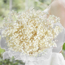 3000+ Dried Baby&#39;S Breath Flowers Bouquet - 17.2&#39;&#39; Gypsophila Branches for Weddi - £16.22 GBP