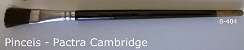Primary image for Pactra Cambridge 1/2 inch Paint Brush # 8 B-404