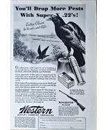 Western World&#39;s Campion Ammunition Winchester Super -X.22!  - 1936 VTG P... - $11.93