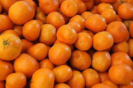 Citrus Reticulata Murcott Honey Tangerine Tree Seeds Grown In Usa Gardening - £13.91 GBP