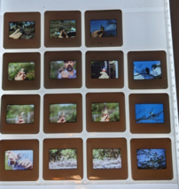 15 Vintage 1988-89 slides birds nature  landscapes people - £11.86 GBP