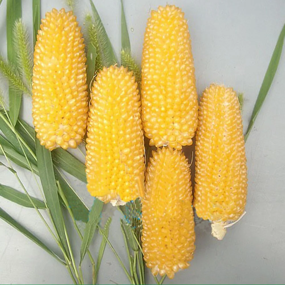 New 50 seed Mini Strawberry-Shaped Yellow Corn Seeds – Sweet &amp; Decorative - $10.49