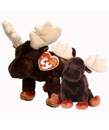 Zeus The Moose Beanie Baby and Buddy Set Mint Condition with Tags Collec... - $1,301.03 MXN Zeus The Moose Beanie Baby and Buddy Set Mint Condition with Tags Collec... - $1,301.03 MXN